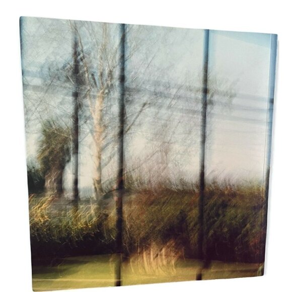 Uta Barth Nowhere Near Whitney Museum New York City Exhibition Book Photography - Picture 3 of 7